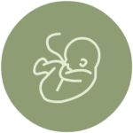 Services Early Preg Consult Icon 1 Edited 150x150